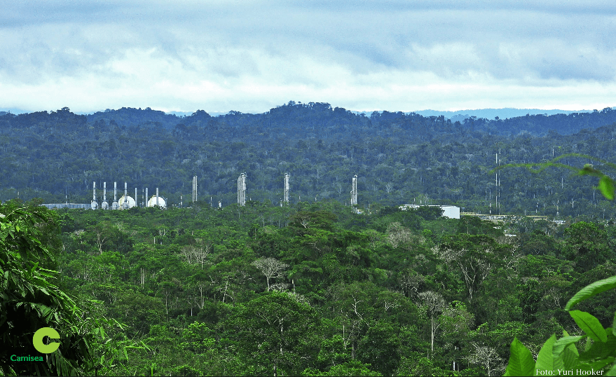 Planta Camisea 1.png