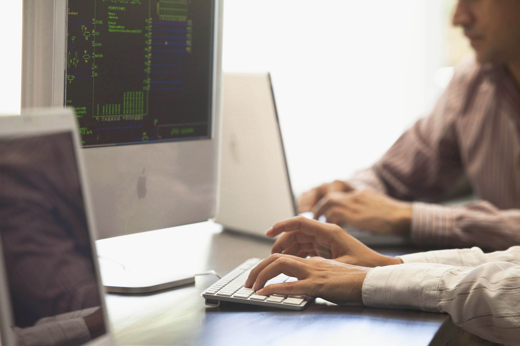 Servicios de exportación