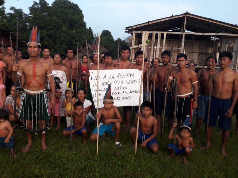 FLOR-DE-COCO-768x576